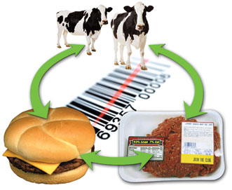 Farm2Fork